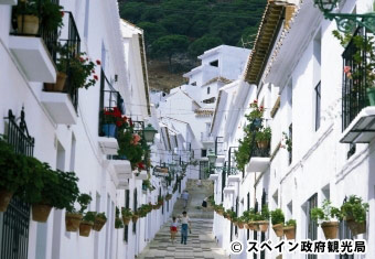 スペイン白い町を巡りフラメンコを体験する10日間